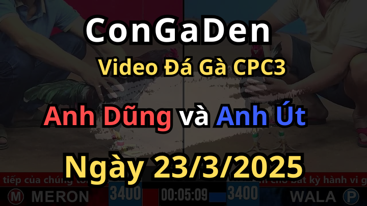 Đá được 3 chân đưa về nấu cháo luôn CPC3 23/3/2025
